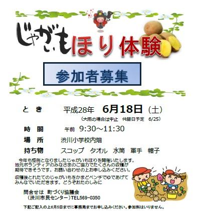 じゃがいも収穫体験