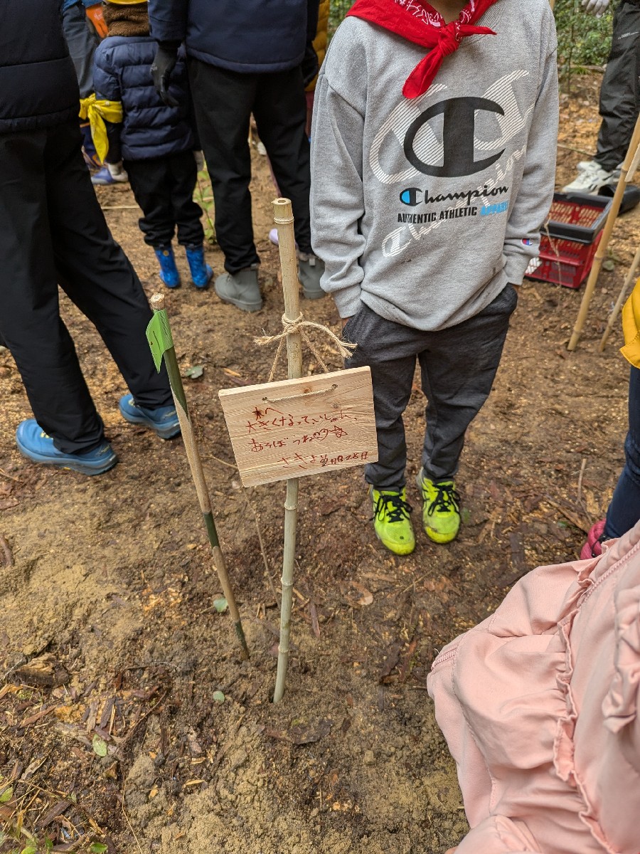 どんぐりの苗を植樹